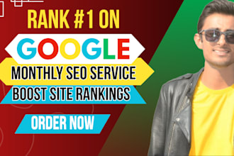 provide wordpress complete monthly SEO service