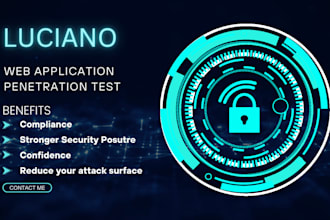 perform a web application penetration test