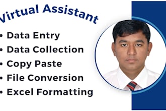 do data entry, web research, copy paste, file conversion