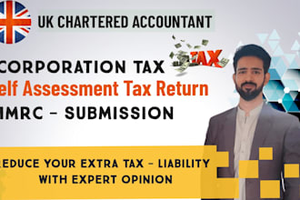 prepare personal tax return, self assessment and submit to hmrc