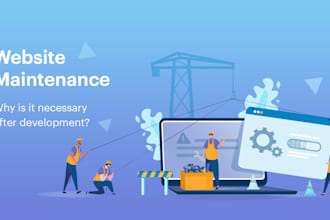 professional website maintenance and troubleshooting service
