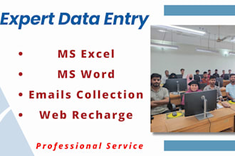 do data entry, web recharge, emails collection, ms excel, ms word