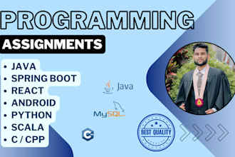 help you with java, spring boot, python, and react assignments or any projects