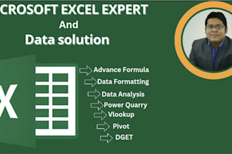 do expert microsoft excel for advanced data solutions