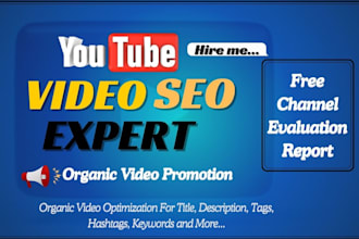 do your youtube channel video SEO and organic promotion