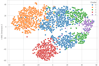 do machine learning model development and implementation