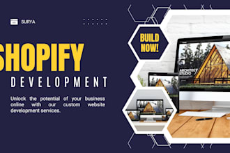 setup shopify dropshipping store, manage shopify store