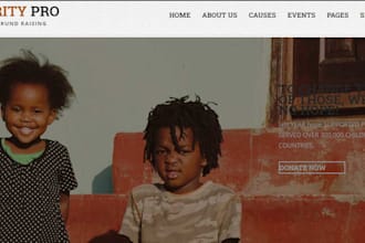 do nonprofit fundraising crowdfunding ngo website for charity donations campaign