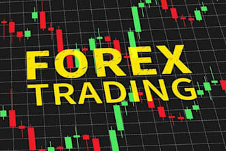 create forex trading website, forex broker, CRM, trading app, stock trading
