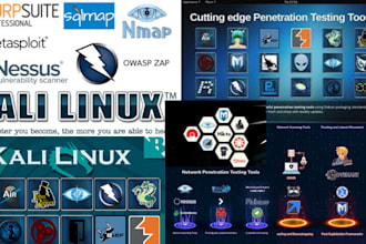 do cyber security tasks and kali linux projects, ubunto server, and flask labs