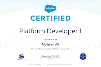 be your certified salesforce admin, developer and consultant