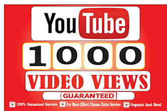 do organic monetization for youtube channel videos for views