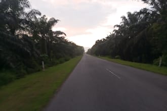 capture the nature for you