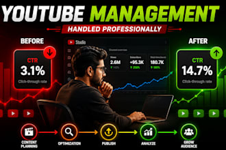 manage and handle your youtube channel professionally