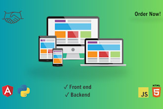 develop a custom angular website for business needs