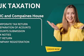 prepare and e file USA tax returns for corporate and llc
