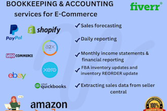 serve as your ecommerce assistant, amazon bookkeeper, and accountant