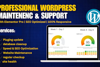 provide wordpress website maintenance, help and support monthly
