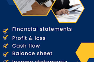 prepare financial statements, income statement and profit and loss