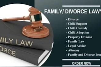 provide legal advice on divorce, family law, child custody, US family lawyer