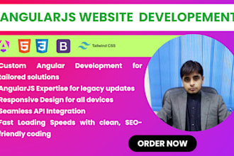 expert angular,angularjs developer, custom web app solutions