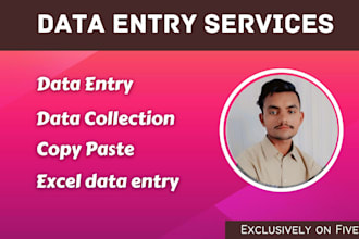 do accurate data entry, typing, and file conversion