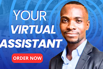 be your  executive virtual assistant