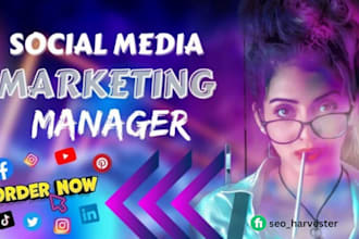 create and professionally set up all social media accounts and business pages