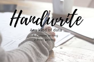 provide professional handwriting services for any data