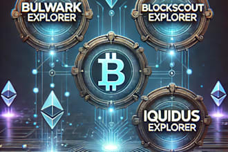 build blockchain explorer, dex and cross chain bridge on evm