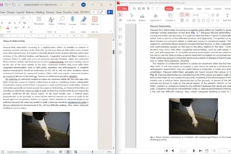 convert PDF files into word editable file