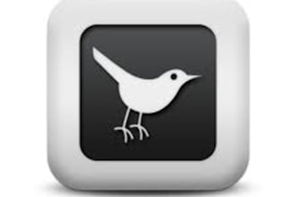 promote/tweet your link or message to my 25,500+ followers on Twitter