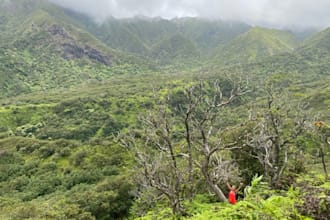 plan your perfect hawaii trip with expert local tips and custom itinerary