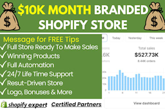build a high converting dropshipping shopify store or custom shopify website