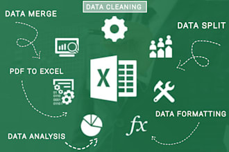 be your excel expert for data entry, cleaning, and splitting