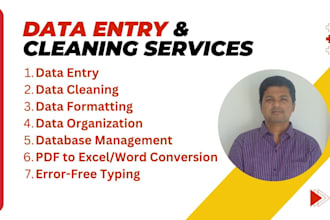 provide data entry and export data cleaning services