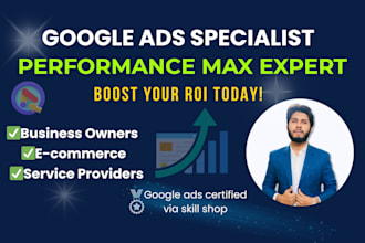 setup and optimize google ads performance max campaign