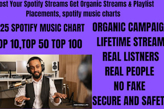 do  your spotify music campaign, spotify chart