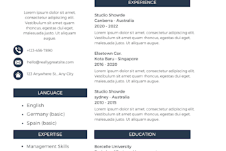 write upgrade professional resume cv cover letter and linkedin canva