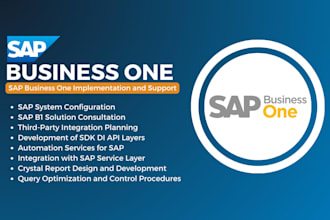 provide you sap business one implementation and support
