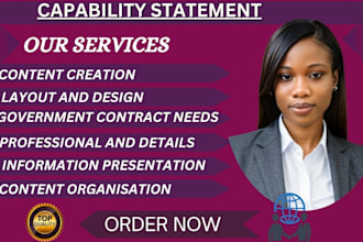 design your professional government capability statement within 7 hours