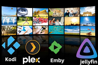 setup plex server emby jellyfin plex media server sonarr radarr plex server
