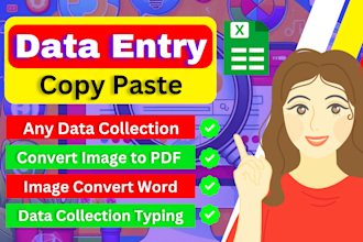 do data entry copy paste work ms excel image to word typing  job