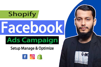 setup facebook ads, instagram ads, fb advertising, shopify fb ads