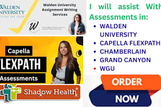 do walden, capella flexpath, chamberlain, dnp nursing healthcare