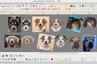 do embroidery digitize image for your dog, cat, pet and all animal 1 hours