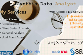 do projects on statistical analysis in rstudio, stata, spss, SAS, excel