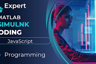 provide matlab simulink coding solutions image signal processing projects java