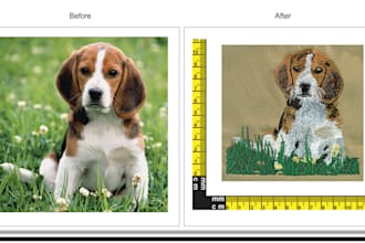 do embroidery digitizing  and vector art