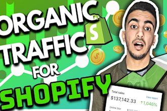 do website promotion on social media, increase organic shopify website traffic